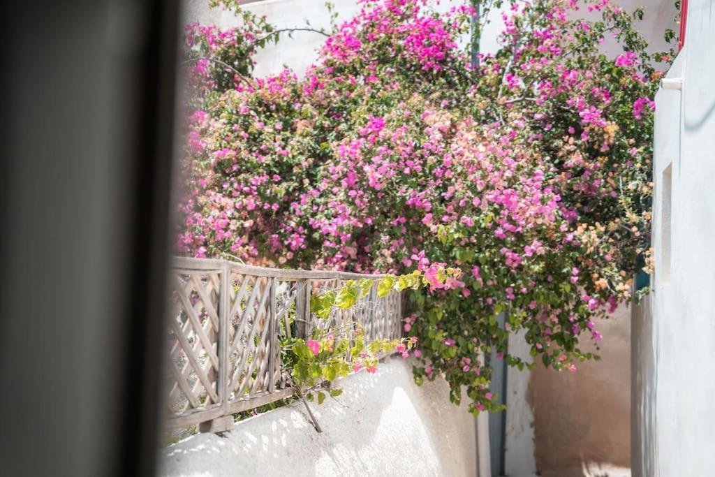 Akri Santorini With Heated Jacuzzi Villa Emporio  Exterior photo